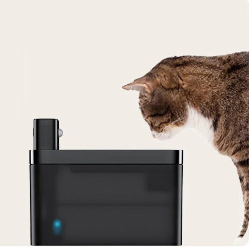 Auto Cat Water Dispenser – Fresh Water 24/7