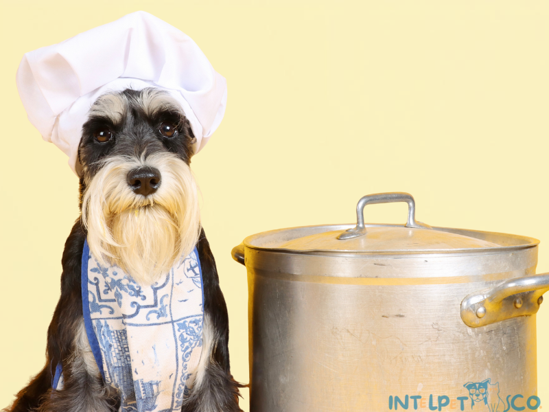 How a Smart Pet Feeder Keeps You Connected with Your Pet, Even When Away