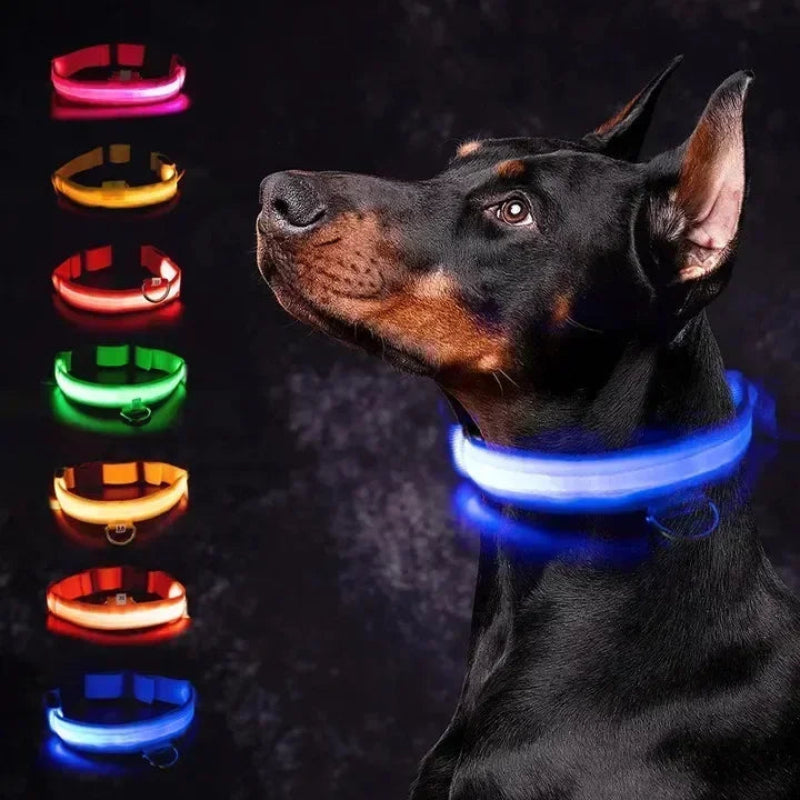 LED Dog Collar - Anti-Lost Safety