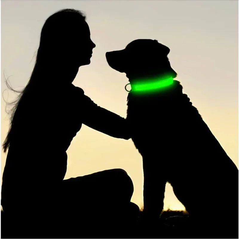 LED Dog Collar - Anti-Lost Safety