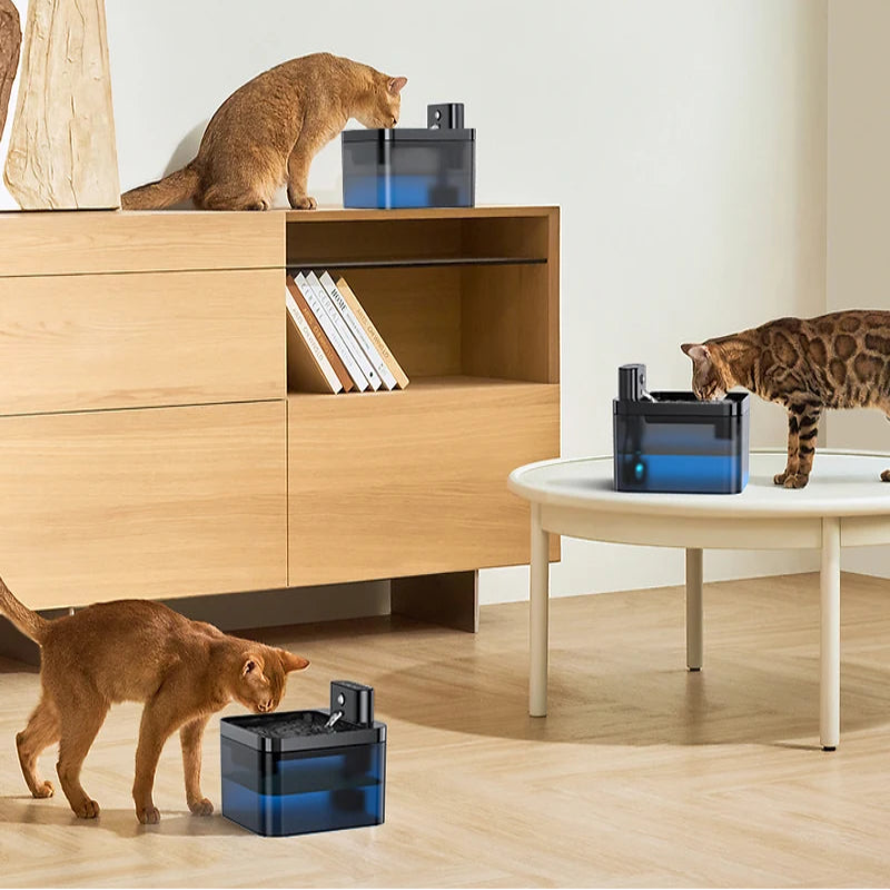 Auto Cat Water Dispenser – Fresh Water 24/7