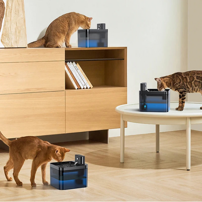 Auto Cat Water Dispenser – Fresh Water 24/7