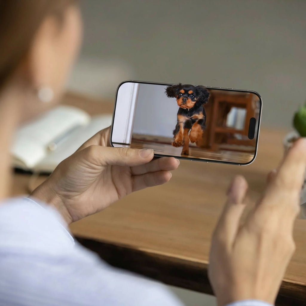 Smart Automatic Pet Feeder – Camera & Voice Recorder