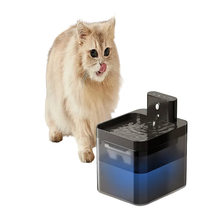 Auto Cat Water Dispenser – Fresh Water 24/7