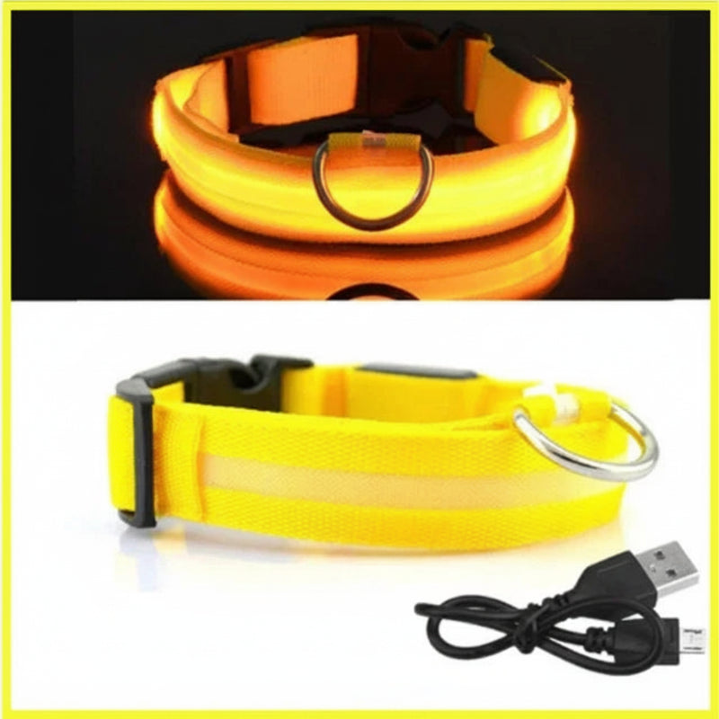 LED Dog Collar - Anti-Lost Safety