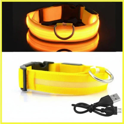 LED Dog Collar - Anti-Lost Safety