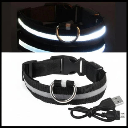 LED Dog Collar - Anti-Lost Safety