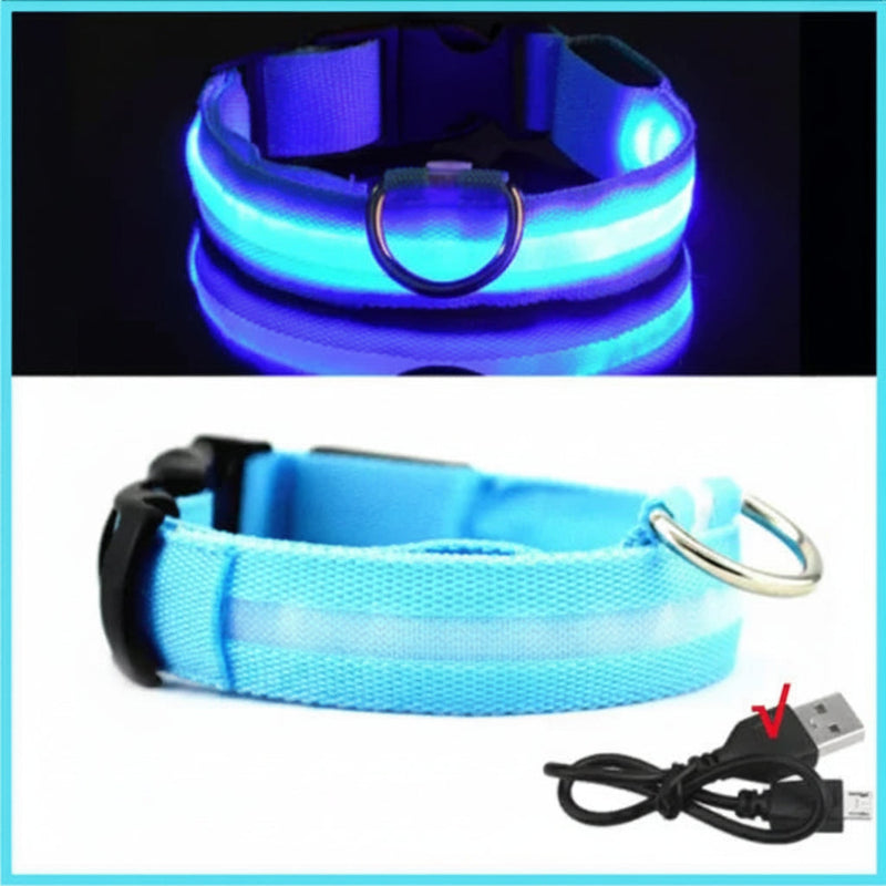 LED Dog Collar - Anti-Lost Safety