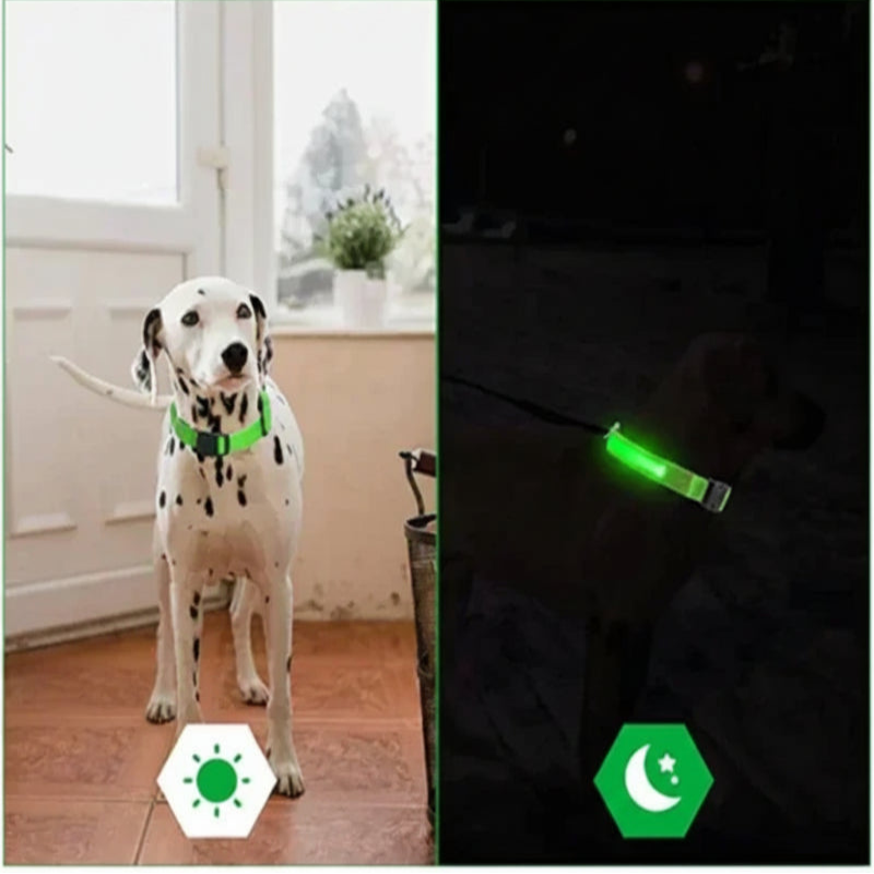 LED Dog Collar - Anti-Lost Safety