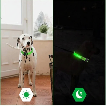 LED Dog Collar - Anti-Lost Safety