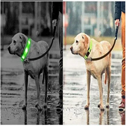LED Dog Collar - Anti-Lost Safety