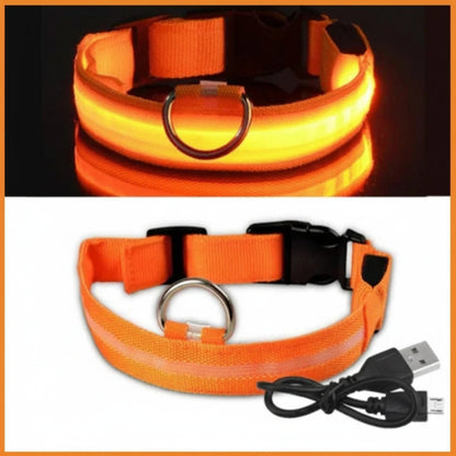 LED Dog Collar - Anti-Lost Safety