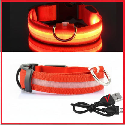 LED Dog Collar - Anti-Lost Safety