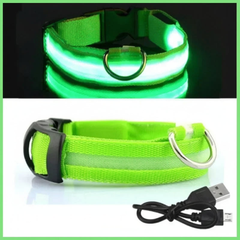 LED Dog Collar - Anti-Lost Safety