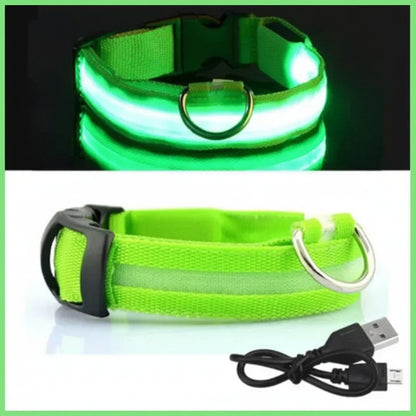 LED Dog Collar - Anti-Lost Safety